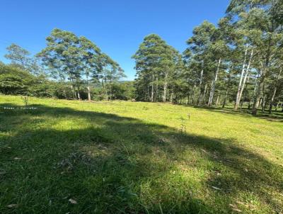 Terra para Venda, em Veranpolis, bairro Nossa senhora da sade - Zona Picoli