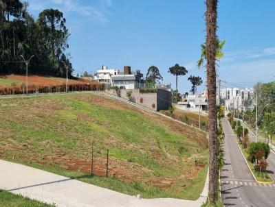 Terreno para Venda, em , bairro Fema