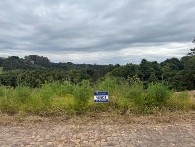 Terreno para Venda, em Veranpolis, bairro So Pelegrino